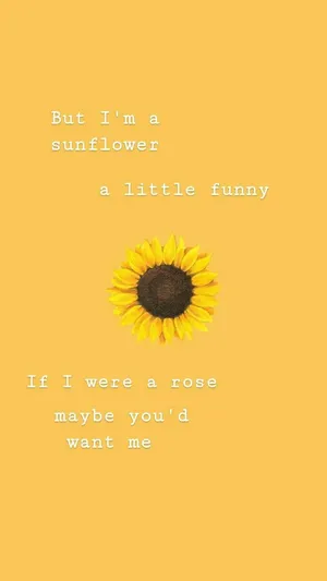 Funny Sunflower Cute Quotes Wallpaper