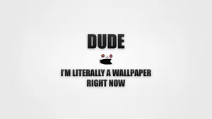 Funny Wallpaper Quote Dude Wallpaper