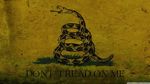 Gadsden Flag Old Stock Logo Design Wallpaper