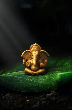 Ganesh Ji Hd On Leaf Wallpaper