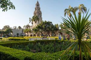 Garden Grounds At Balboa Park Wallpaper