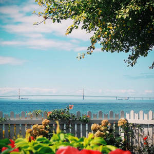 Garden's View Mackinac Bridge Wallpaper