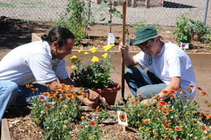 Gardening Boys In Flower Garden Wallpaper