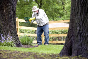 Gardening Old Man In Backyard Wallpaper