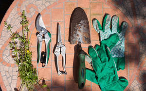 Gardening Tools In Floor Wallpaper