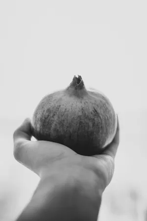 Garnet Fruit Black And White Wallpaper
