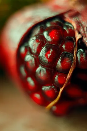 Garnet Fruit Up Close Wallpaper