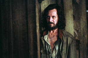 Gary Oldman Prisoner Sirius Black Wallpaper