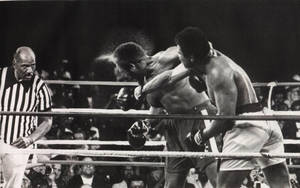 George Foreman Punched By Ali Wallpaper