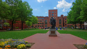 George Washington University Statue With Grass Wallpaper