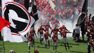 Georgia Bulldogs Entrance Wallpaper