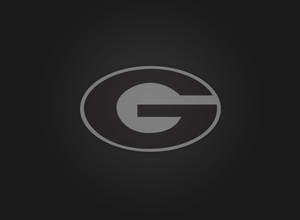 Georgia Bulldogs Icon Wallpaper