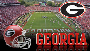 Georgia Bulldogs Stadium Wallpaper