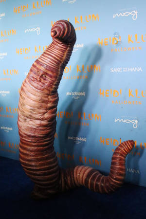 German-american Model Heidi Klum As A Worm Wallpaper