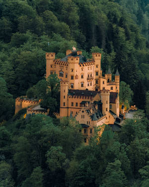 Germany's Secluded Massive Castle Wallpaper