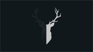 Get Cosy With Our Sleek Deer Iphone Wallpaper