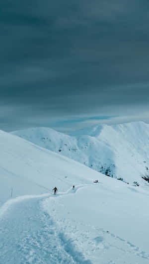 Get Fit With The Sports Phone Wallpaper