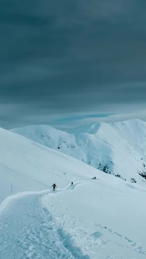 Get Fit With The Sports Phone Wallpaper