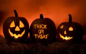Get Into The Halloween Spirit! Wallpaper