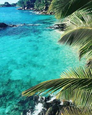 Get Lost In The Beauty Of The Tropical Island! Wallpaper