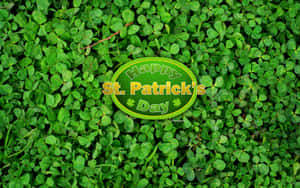 Get Lucky With This Pretty Shamrock Wallpaper