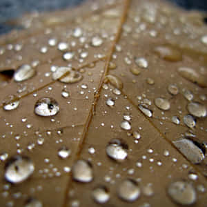 Get Ready For A Digital Adventure Underwater With An Ipad Wallpaper