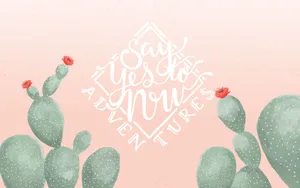Get Ready For A Fun & Cute Summer! Wallpaper