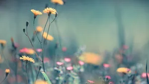 Get Ready For Spring With A Computer Upgrade Wallpaper