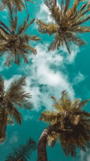 Get Ready For The Best Summer! Wallpaper