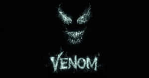 Get Ready To Unleash Black Venom! Wallpaper