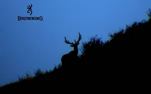 Get The Browning Desktop Look Wallpaper