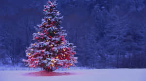 Get Your Christmas Aesthetic On With This Computer! Wallpaper