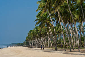 Ghana Playa Winneba Wallpaper