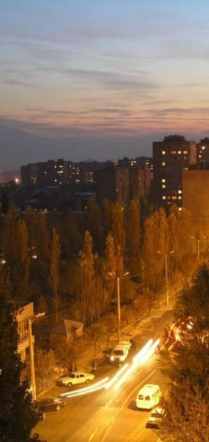 Giant Trees In Yerevan Wallpaper