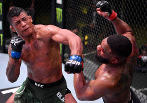 Gilbert Burns Knocking Out Tyron Woodley Wallpaper
