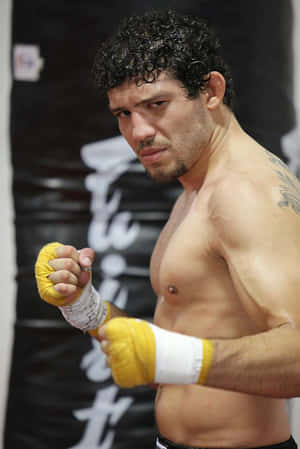 Gilbert Melendez Mixed Martial Arts Champion Wallpaper