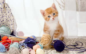 Ginger Cat Beside Yarns For Knitting Wallpaper