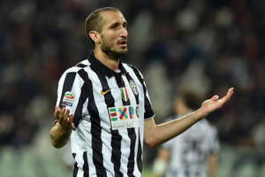 Giorgio Chiellini In Action During A Juventus Fc Match Against Acf Fiorentina Wallpaper