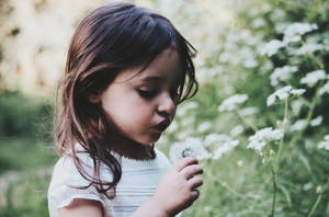 Girl Blowing Dandelion Picture Wallpaper