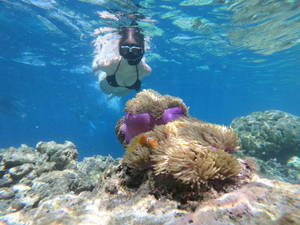 Girl Snorkeling Alone In The Ocean Wallpaper