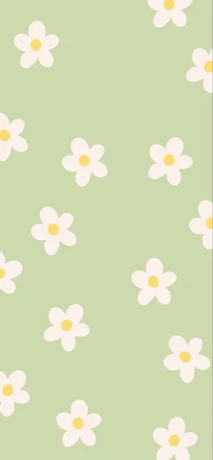 Girly Phone Daisies Wallpaper
