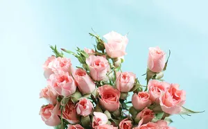 Girly Pink Aesthetic Flowers Wallpaper