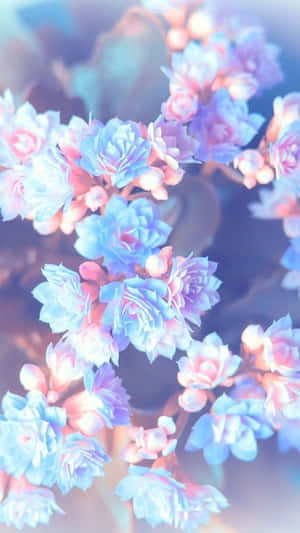 Give Your Phone A Stylish Look With Pretty Cute Phone! Wallpaper