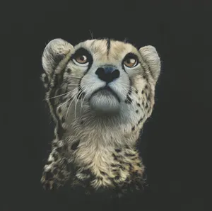 Glancing Cheetah Digital Art Wallpaper