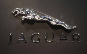 Gleaming Jaguar Car Logo On A Matte Background Wallpaper