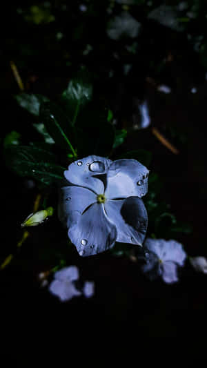 Glow-in-the-dark Galaxies And Stars Wallpaper