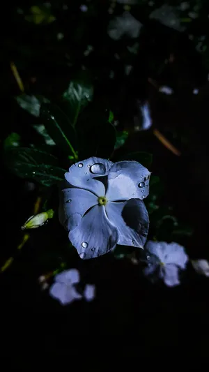 Glow-in-the-dark Galaxies And Stars Wallpaper