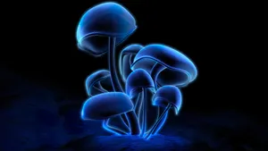 Glowing Blue Mushrooms Artwork Wallpaper