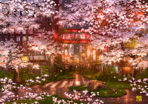 Glowing Cherry Blossom Tree In The Night. Wallpaper