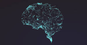 Glowing Light Blue Cerebral Cortex Wallpaper